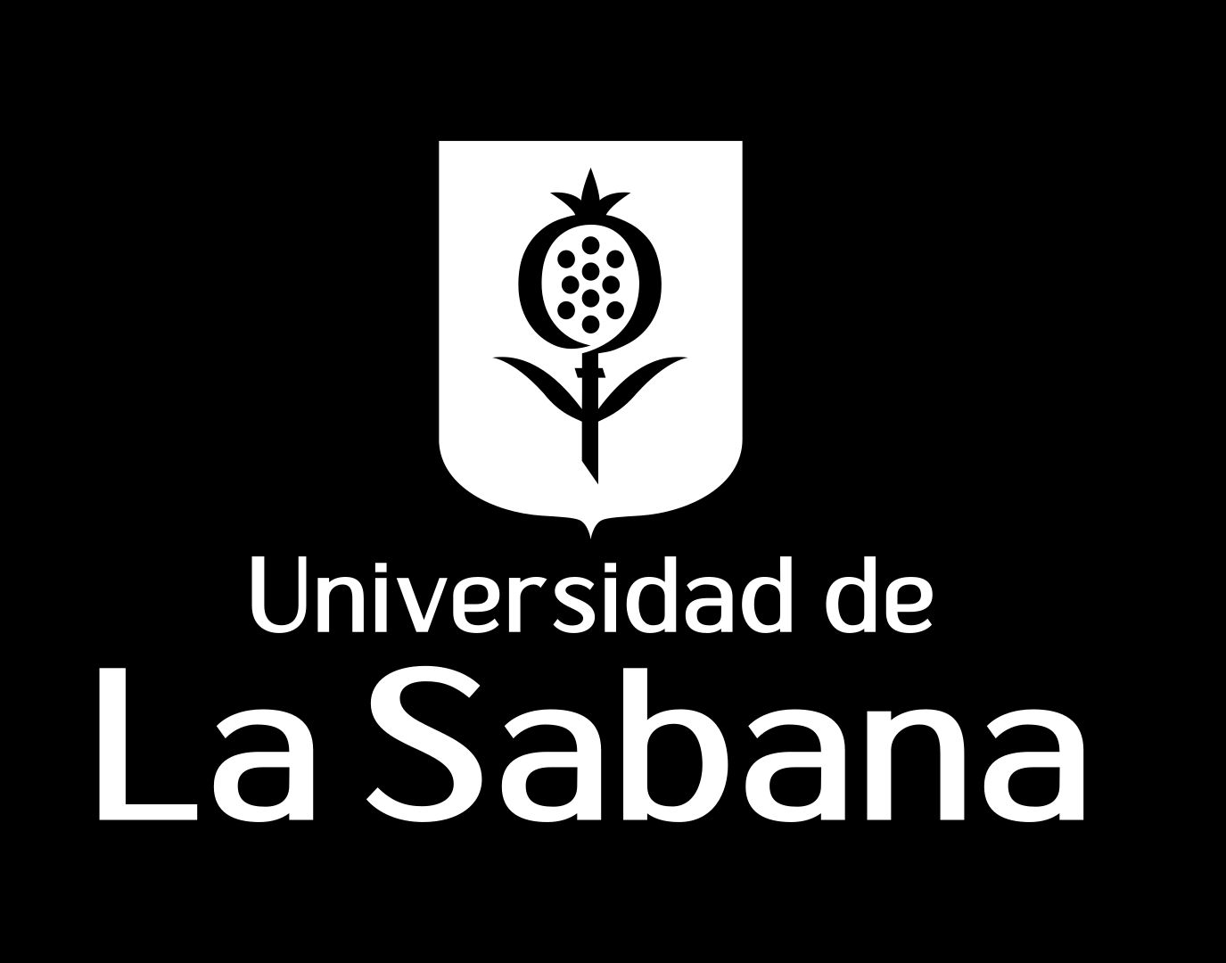 Logo UDLS